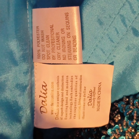 DALIA, BEAUTIFUL CINDERELLA TYPE DRESS, LOTS OF BEADING, LOTS OF LAYERING. - Picture 10 of 12